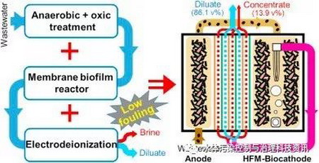 滤膜与生物阴极微生物脱盐细胞结合用于净化市政污水