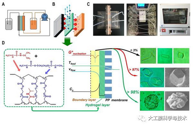 新型水凝胶膜连续、高选择性制备生物大分子晶体研究