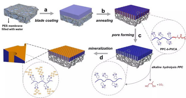 伍广朋和徐志康：可仿生矿化的嵌段共聚物均孔分离膜