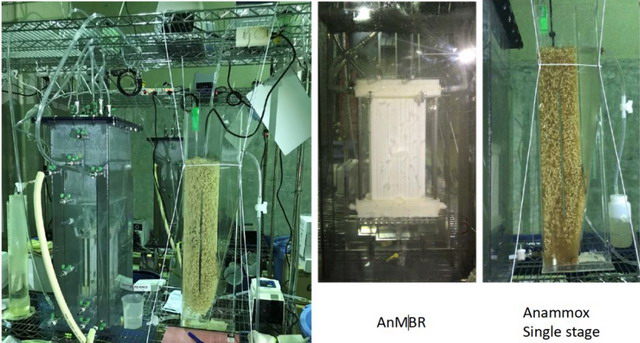 李玉友教授：日本基于厌氧MBR与厌氧氨氧化的低碳设计