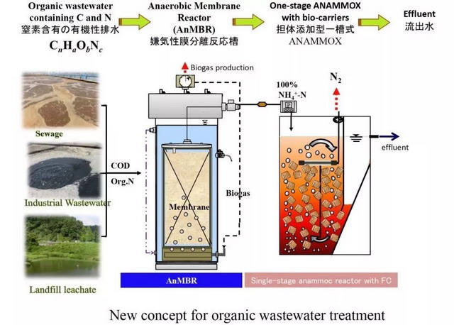 李玉友教授：日本基于厌氧MBR与厌氧氨氧化的低碳设计