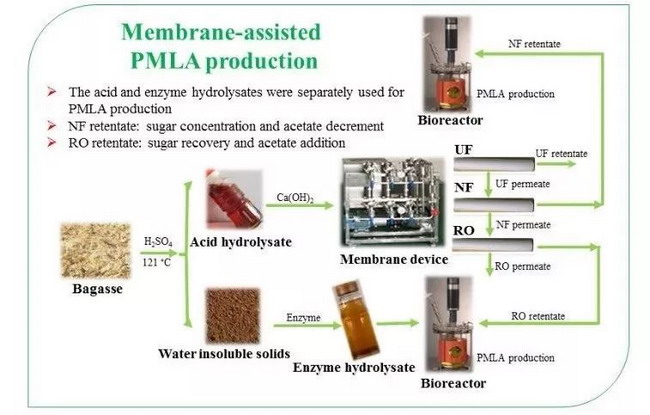 超滤－纳滤膜工艺助力甘蔗渣水解液发酵制β-聚苹果酸