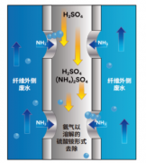 一种替代传统氨氮吹脱塔的新型膜法脱氨氮技术